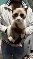 Jubi