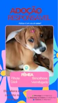 Mia