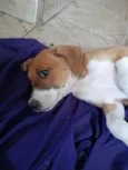 Mia