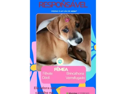 Cachorro raça SRD-ViraLata idade Abaixo de 2 meses nome Mia