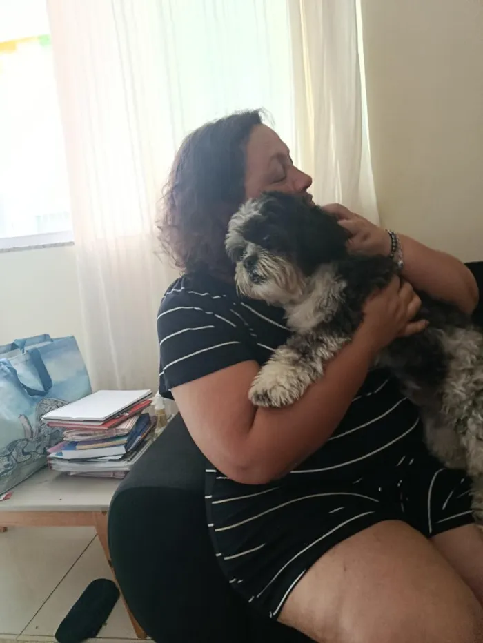 Cachorro raça Shitzu idade 2 anos nome Yoshiro Nagazaka