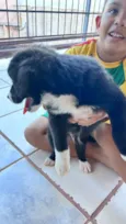 Sem nome