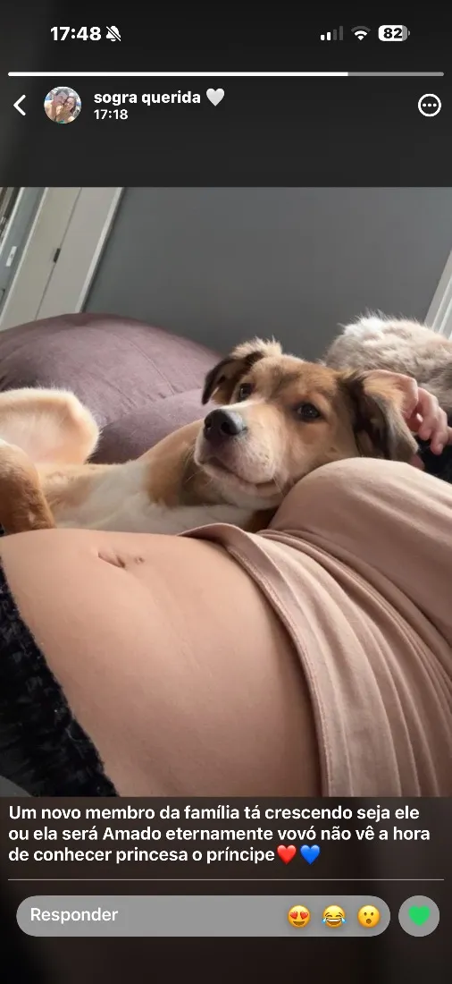 Cachorro raça SRD-ViraLata idade 2 a 6 meses nome Katryna 