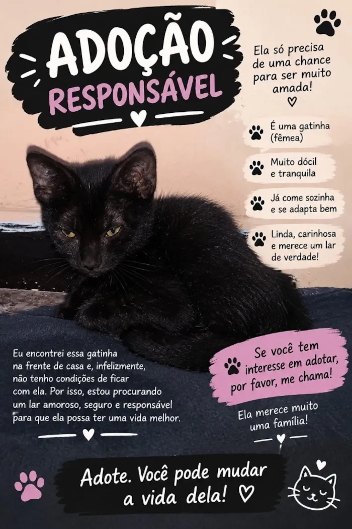 Gato raça SRD-ViraLata idade 2 a 6 meses nome mel 