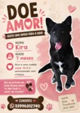 Kira