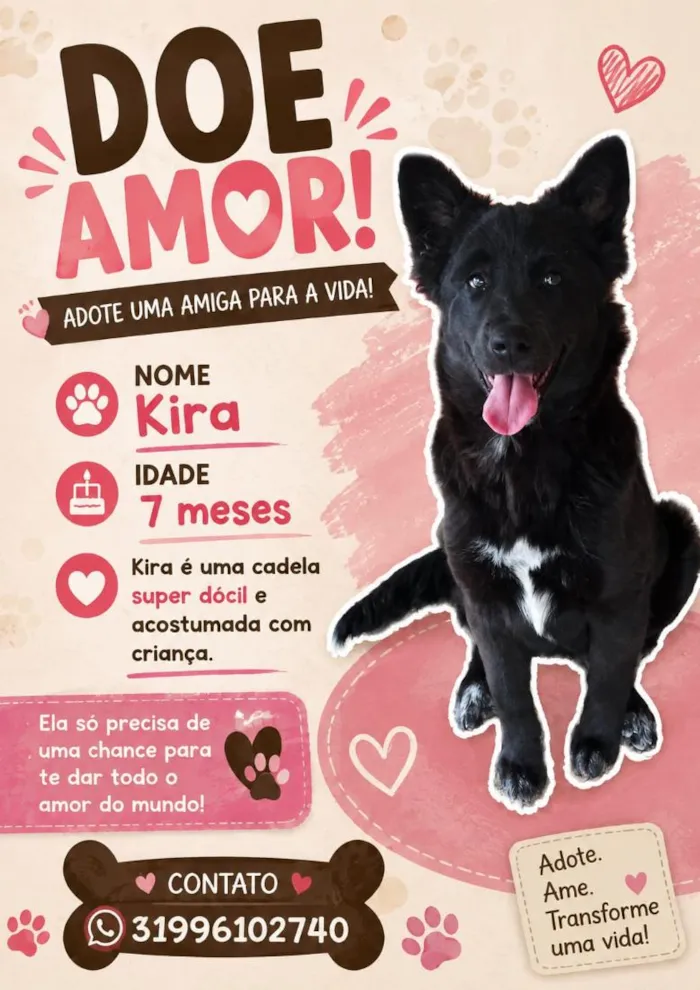Cachorro raça SRD-ViraLata idade 7 a 11 meses nome Kira