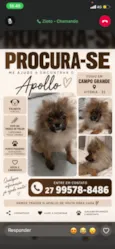 Apollo
