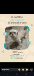 Corote