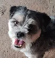 Logan