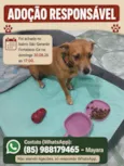 Nina