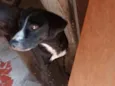 Lua