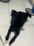 Zoe