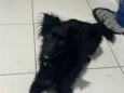 Zoe