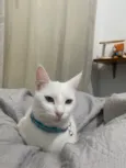 Marie