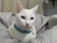 Marie
