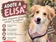 Elisa
