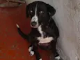 Lua