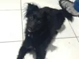 Zoe