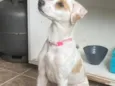 Sol
