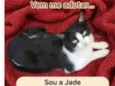 Jade