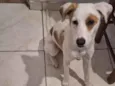 Sol