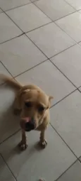 mel