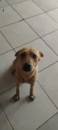 mel