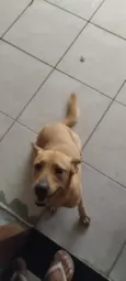 mel