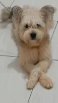 Bob 