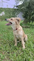 Bolinha 