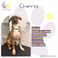 Churros