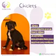 Chiclets