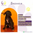 Bazooka