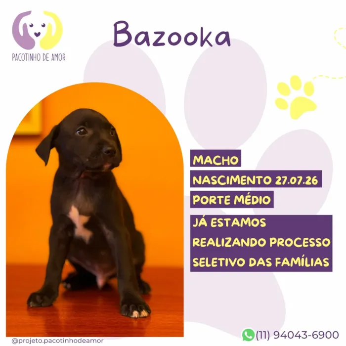 Cachorro raça SRD-ViraLata idade Abaixo de 2 meses nome Bazooka