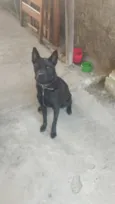 Esmeralda 