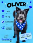 Oliver