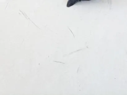 Cachorro raça Pit-Bull idade 3 anos nome Negão 