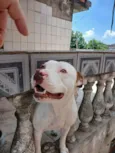 Zeus