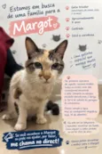Margot
