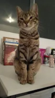 Tutti