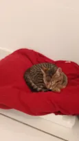 Tutti