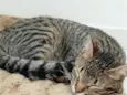 Tutti