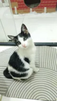 Chiquinha