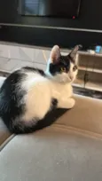 Snatch