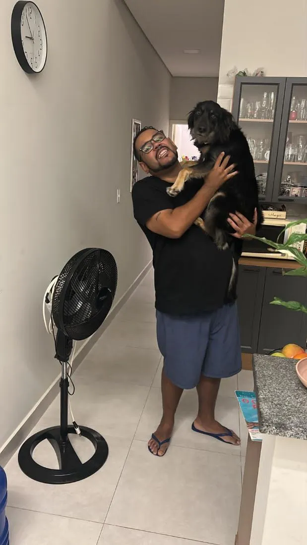 Cachorro raça SRD-ViraLata idade 3 anos nome Chico 