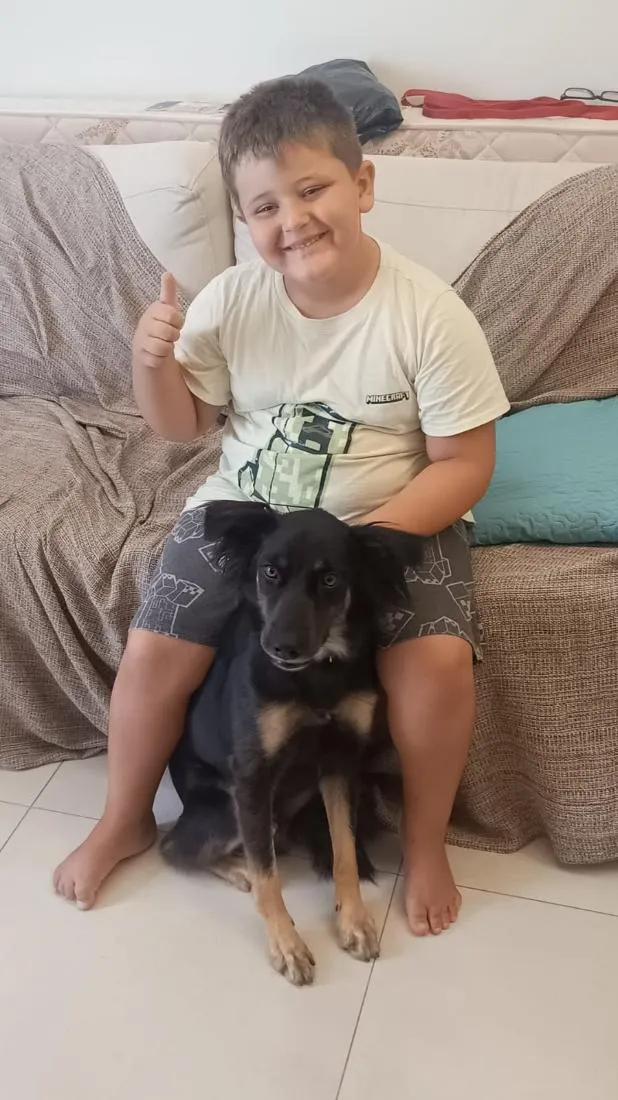 Cachorro raça SRD-ViraLata idade 3 anos nome Chico 