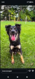 Chico 