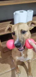 Billy 