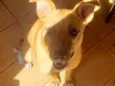 Billy 