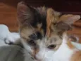 Francisca